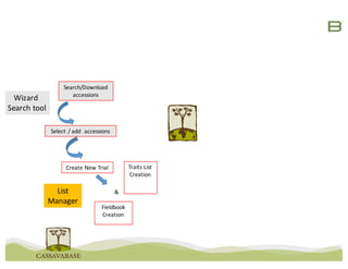 Create	New	Trial
Fieldbook
Creation
Traits	List	
Creation
&
Search/Download	
accessions
List
Manager
Wizard	
Search	tool
Select	/	add		accessions
 