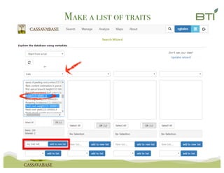 Make a list of traits
 