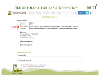 See ontology for trait definition
 