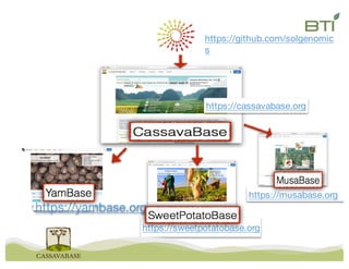 https://github.com/solgenomic
s
https://yambase.org
https://sweetpotatobase.org
https://musabase.org
https://cassavabase.org
 