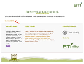 Barcode	tool
Phenotyping:Barcodetool
 