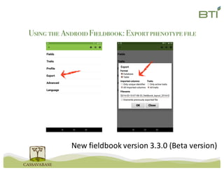 Using the AndroidFieldbook: Exportphenotype file
New	fieldbook version	3.3.0	(Beta	version)
 
