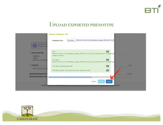 Upload exported phenotype
 