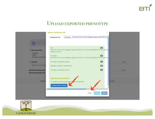 Upload exported phenotype
 