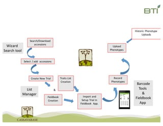 Create	New	Trial
Fieldbook
Creation
Traits	List	
Creation
Record
Phenotypes
Import	and	
Setup	Trial	in	
Fieldbook	 App.
&
Upload	
Phenotypes
Historic	Phenotype	
Uploads
Search/Download	
accessions
List
Manager
Barcode
Tools	
&
Fieldbook
App	
Wizard	
Search	tool
Select	/	add		accessions
 