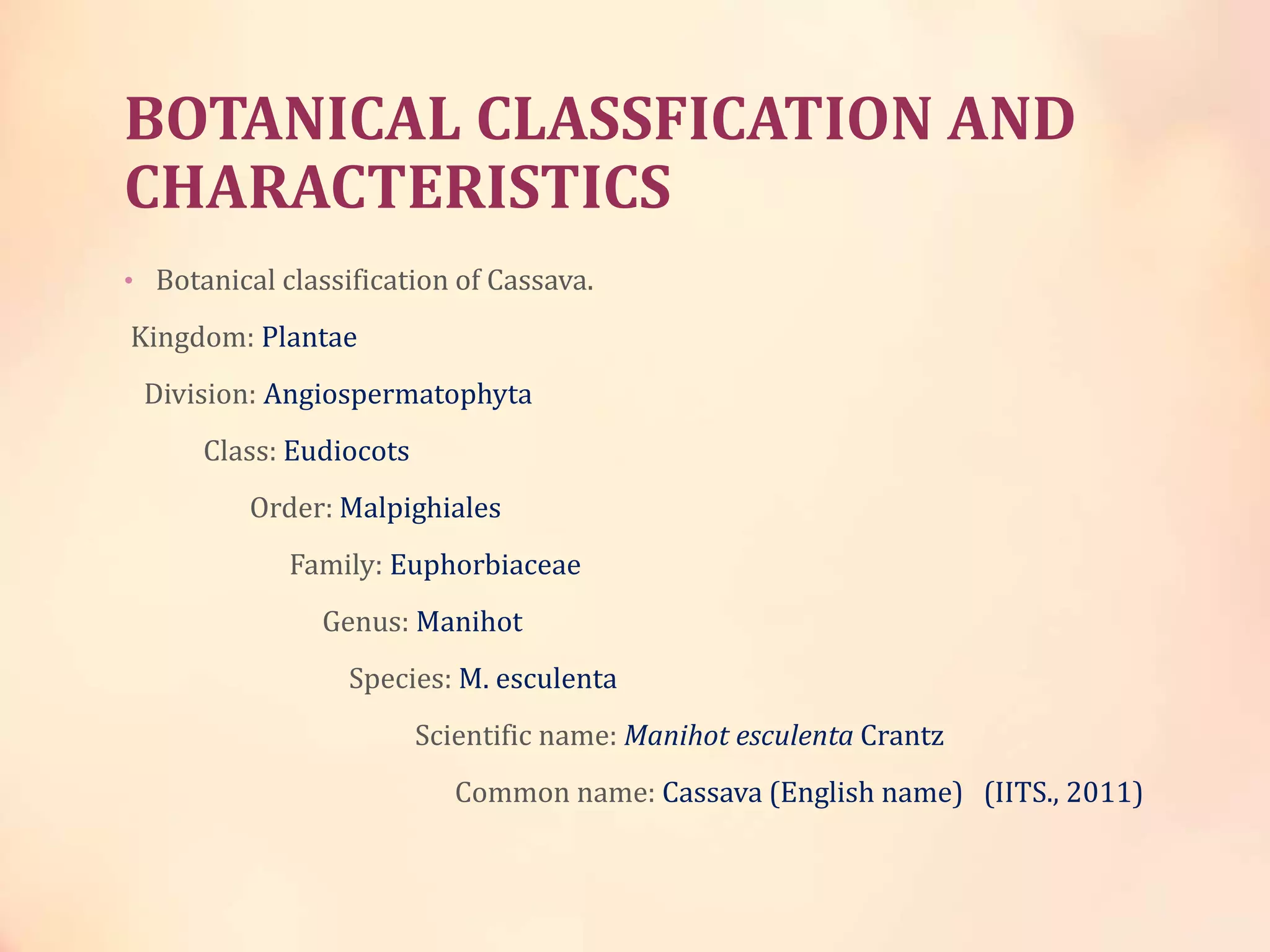 BOTANICAL CLASSFICATION AND
CHARACTERISTICS
• Botanical classification of Cassava.
Kingdom: Plantae
Division: Angiospermatophyta
Class: Eudiocots
Order: Malpighiales
Family: Euphorbiaceae
Genus: Manihot
Species: M. esculenta
Scientific name: Manihot esculenta Crantz
Common name: Cassava (English name) (IITS., 2011)
 