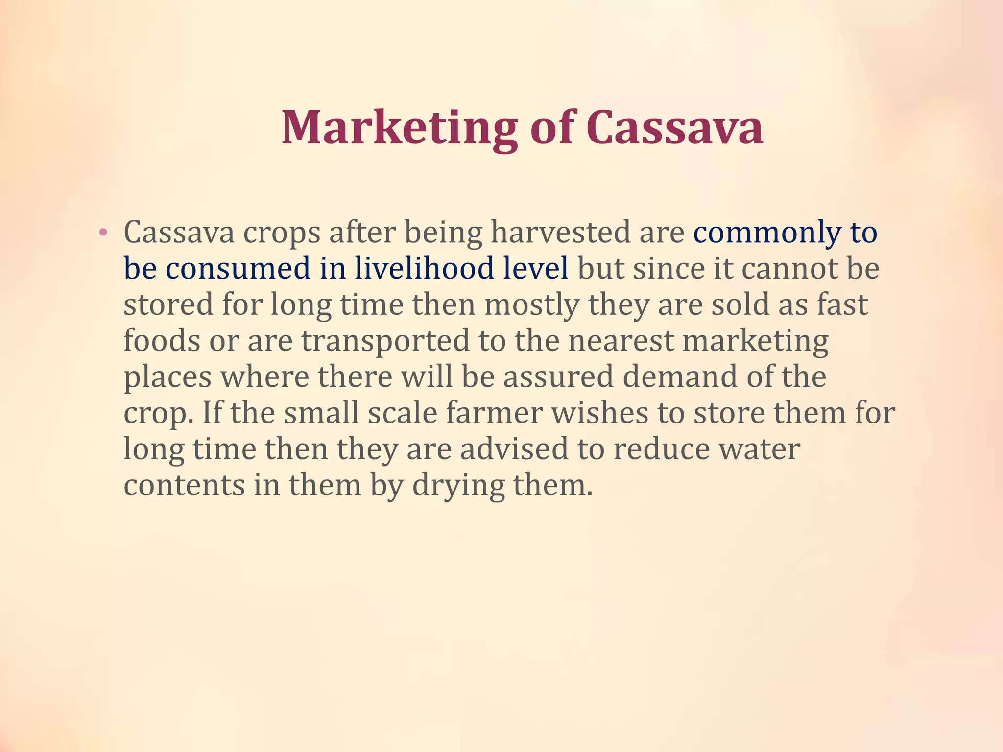 Marketing of Cassava
• Cassava crops after being harvested are commonly to
be consumed in livelihood level but since it cannot be
stored for long time then mostly they are sold as fast
foods or are transported to the nearest marketing
places where there will be assured demand of the
crop. If the small scale farmer wishes to store them for
long time then they are advised to reduce water
contents in them by drying them.
 