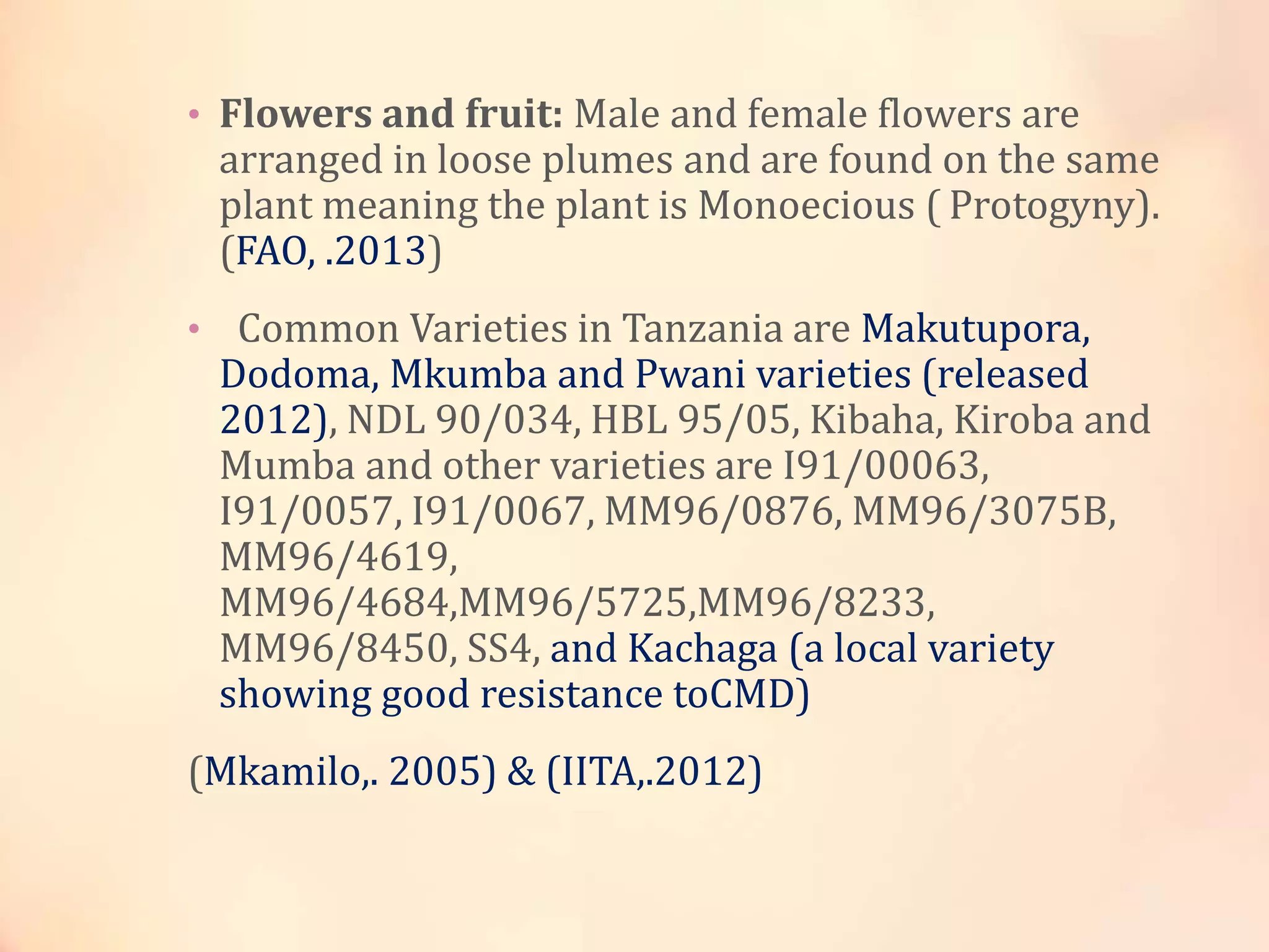 • Flowers and fruit: Male and female flowers are
arranged in loose plumes and are found on the same
plant meaning the plant is Monoecious ( Protogyny).
(FAO, .2013)
• Common Varieties in Tanzania are Makutupora,
Dodoma, Mkumba and Pwani varieties (released
2012), NDL 90/034, HBL 95/05, Kibaha, Kiroba and
Mumba and other varieties are I91/00063,
I91/0057, I91/0067, MM96/0876, MM96/3075B,
MM96/4619,
MM96/4684,MM96/5725,MM96/8233,
MM96/8450, SS4, and Kachaga (a local variety
showing good resistance toCMD)
(Mkamilo,. 2005) & (IITA,.2012)
 