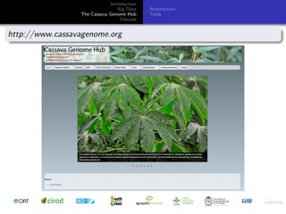 Cassava genome hub