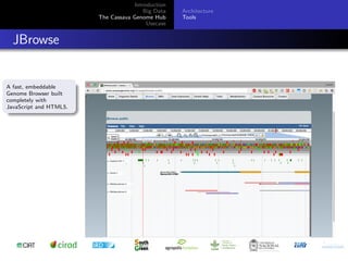 Cassava genome hub