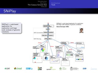 Cassava genome hub