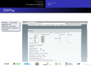 Cassava genome hub