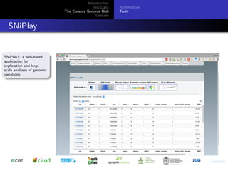 Cassava genome hub