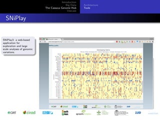 Cassava genome hub