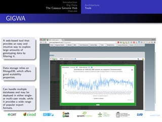 Cassava genome hub