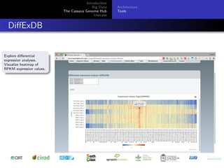 Cassava genome hub