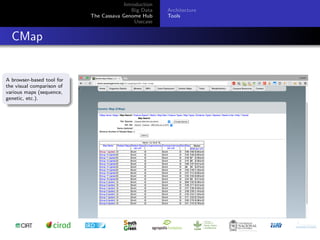 Cassava genome hub
