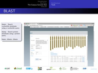 Cassava genome hub