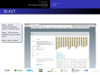 Cassava genome hub