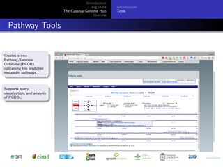 Cassava genome hub