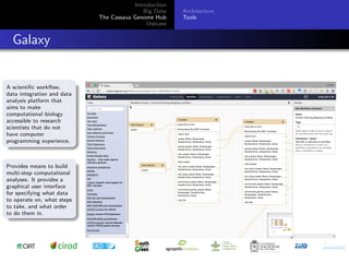 Cassava genome hub