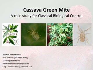 Cassava Green Mite
A case study for Classical Biological Control
Jawwad Hassan Mirza
Ph.D. Scholar (ID# 435108485)
Acarology Laboratory
Department of Plant Protection
King Saud University, AlRiyadh, KSA
 
