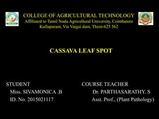 COLLEGE OF AGRICULTURAL TECHNOLOGY
Affiliated to Tamil Nadu Agricultural University, Coimbatore
Kullapuram, Via Vaigai dam, Theni-625 562
CASSAVA LEAF SPOT
STUDENT COURSE TEACHER
Miss. SIVAMONICA .B Dr. PARTHASARATHY. S
ID. No. 2015021117 Asst. Prof., (Plant Pathology)
 