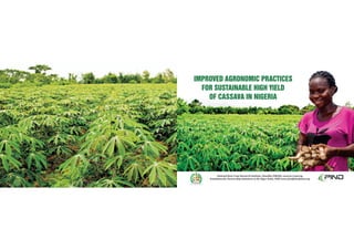 IMPROVED AGRONOMIC PRACTICES
FOR SUSTAINABLE HIGH YIELD
OF CASSAVA IN NIGERIA
National Root Crops Research Institute, Umudike (NRCRI). www.nrcri.gov.ng
Foundation for Partnership Initiatives in the Niger Delta, PIND www/pindfoundation.org
SPO
RCTOORLANOITAN
RES
EARCHINSTITUTE
UMUDIKE
 