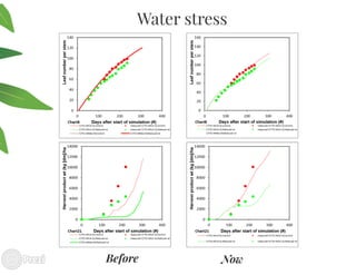 Building the best guess for cassava: an integration between areas and centers