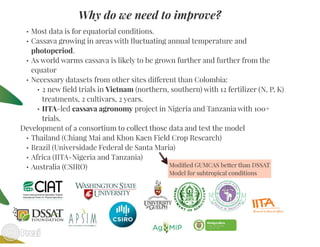 Building the best guess for cassava: an integration between areas and centers