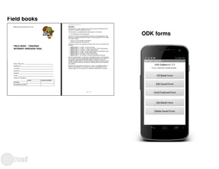 Building the best guess for cassava: an integration between areas and centers