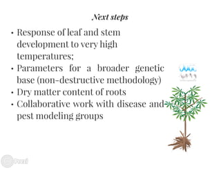 Building the best guess for cassava: an integration between areas and centers