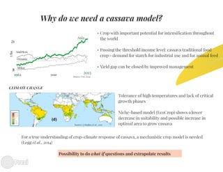 Building the best guess for cassava: an integration between areas and centers