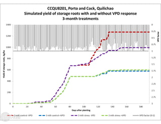 Building the best guess for cassava: an integration between areas and centers