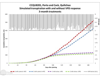 Building the best guess for cassava: an integration between areas and centers