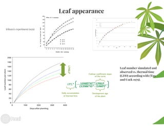 Building the best guess for cassava: an integration between areas and centers