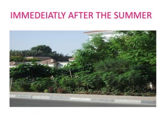 IMMEDEIATLY AFTER THE SUMMER

 