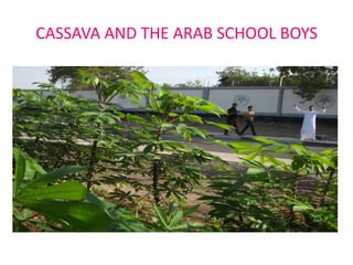 CASSAVA AND THE ARAB SCHOOL BOYS

 