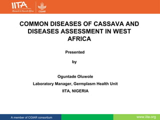 www.iita.orgA member of CGIAR consortium
COMMON DISEASES OF CASSAVA AND
DISEASES ASSESSMENT IN WEST
AFRICA
Presented
by
Oguntade Oluwole
Laboratory Manager, Germplasm Health Unit
IITA, NIGERIA
 