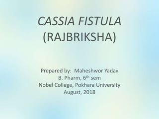 Prepared by: Maheshwor Yadav
B. Pharm, 6th sem
Nobel College, Pokhara University
August, 2018
CASSIA FISTULA
(RAJBRIKSHA)
 
