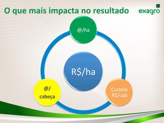 O	
  que	
  mais	
  impacta	
  no	
  resultado	
  
R$/ha	
  
@/ha	
  
Custeio	
  
R$/cab	
  
@/	
  
cabeça	
  
 