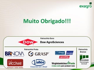 Patrocínio	
  Ouro	
  
Patrocínio	
  Prata	
   Patrocínio	
  
Bronze	
  
Muito	
  Obrigado!!!	
  
 