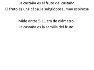 La castaña es el fruto del castaño.
El fruto es una cápsula subglobosa ,muy espinosa
Mide entre 5-11 cm de diámetro .
La castaña es la semilla del fruto .