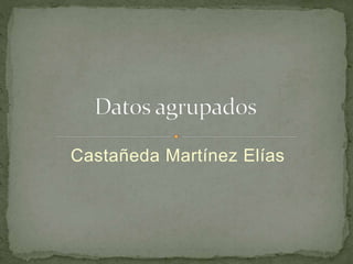 Castañeda Martínez Elías
 