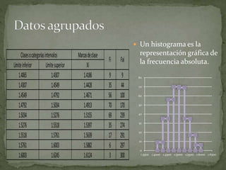  Un histograma es la
representación gráfica de
la frecuencia absoluta.
9 9
35 44
56 100
70 170
69 239
35 274
17 291
6 297
3 300
Límiteinferior Límitesuperior
1.4065
Fi Fai
1.4307
1.4549
1.4792
1.6245
Clasesocategoríasintervalos
1.5518
1.5761
1.6003
1.5034
1.5276
1.4307
1.4549
1.4792
1.5034
1.5276
1.5518
1.5639
1.5882
Marcasdeclase
1.5761
1.6003
Xi
1.4186
1.4428
1.4671
1.4913
1.5155
1.5397
1.6124
0
10
20
30
40
50
60
70
80
1.3500 1.4000 1.4500 1.5000 1.5500 1.6000 1.6500
 