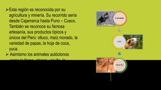 Esta región es reconocida por su
agricultura y minería. Su recorrido sería
desde Cajamarca hasta Puno – Cusco.
También se reconoce su famosa
artesanía, sus productos típicos y
únicos del Perú: olluco, maíz morado, la
variedad de papas, la hoja de coca,
yuca.
 Asimismo los animales autóctonos
como la llama, alpaca, vicuña, la
vizcacha, el cuy, el cóndor y sus
criaderos de trucha en Huancayo.
CONDOR
CUY
VICUÑA
 