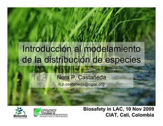 Introducción al modelamiento
                       de la distribución de especies
                               Nora P. Castañeda
                                n.p.castaneda@cgiar.org



© Neil Palmer (CIAT)


                                            Biosafety in LAC, 10 Nov 2009
                                                     CIAT, Cali, Colombia
 