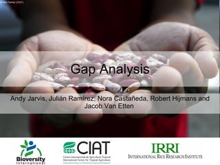 Gap Analysis Andy Jarvis, Julián Ramírez, Nora Castañeda, Robert Hijmans and Jacob Van Etten  © Neil Palmer (CIAT) 