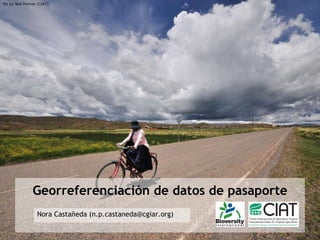Georreferenciación de datos de pasaporte Nora Castañeda (n.p.castaneda@cgiar.org) Pic by Neil Palmer (CIAT) 