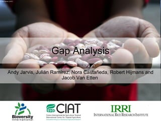 Gap Analysis Andy Jarvis, Julián Ramírez, Nora Castañeda, Robert Hijmans and Jacob Van Etten  © Neil Palmer (CIAT) 